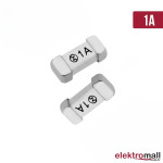 2410 Smd Sigorta 1A 250V