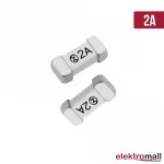 2410 Smd Sigorta 2A 250V
