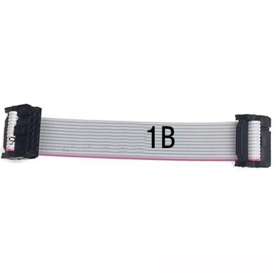 10cm 1B 12Pin Soket IDC Kablo