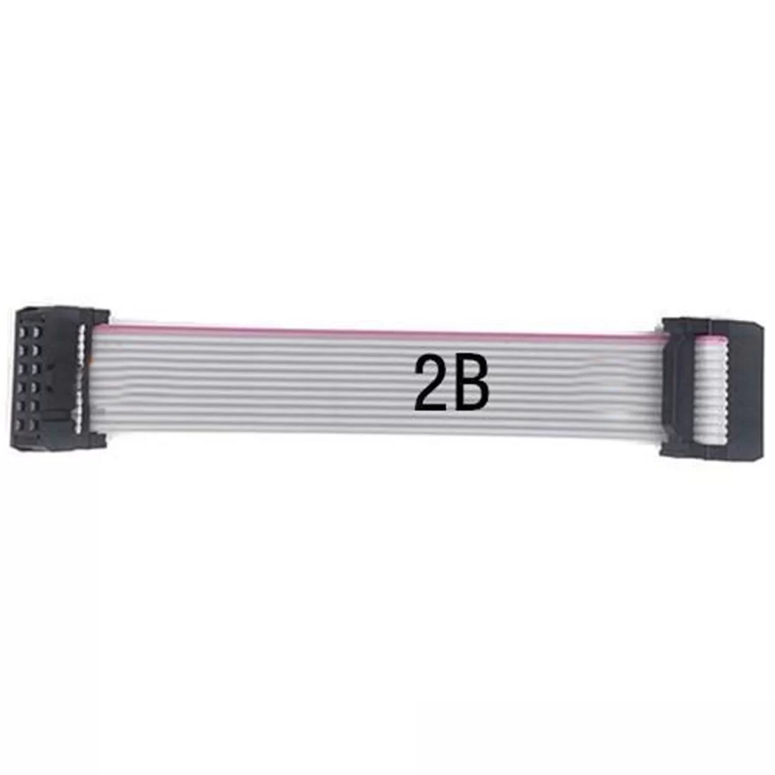 10cm 2B 40Pin Soket IDC Kablo