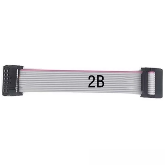 20cm 2B 40Pin Soket IDC Kablo