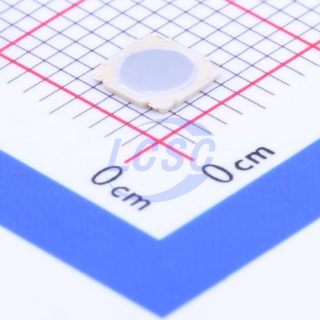 SKRMAAE010