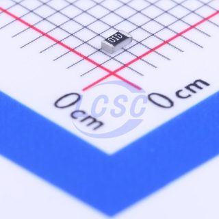 RS-03K1003FT