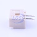 530470210 görsel 3