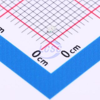 SZYY0603R1