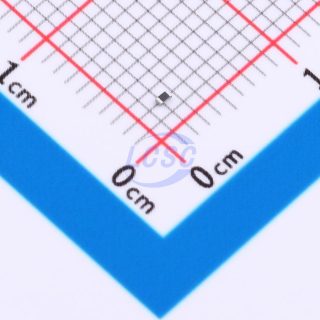 1RC0402F1002