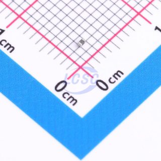 RL0402E024M250K