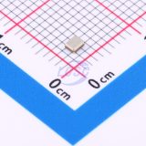X1G0041310042