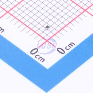 RI0402L1002FT